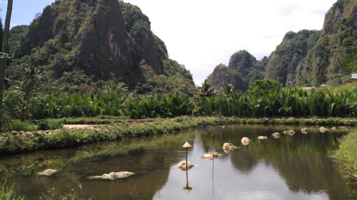 Rammang rammang