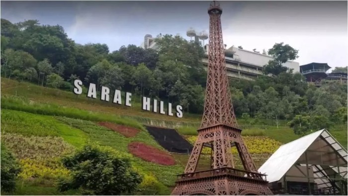 Sarae hills