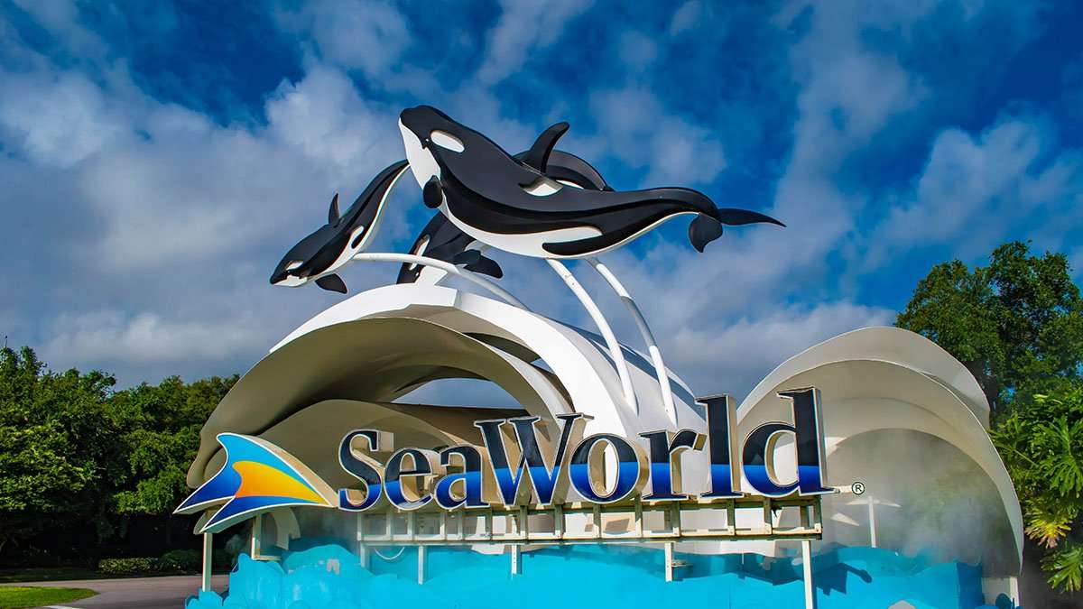 Sea world indonesia