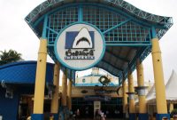 Seaworld ancol biota sebuah laut kedua kompleks telaga terpadu terdapat taman