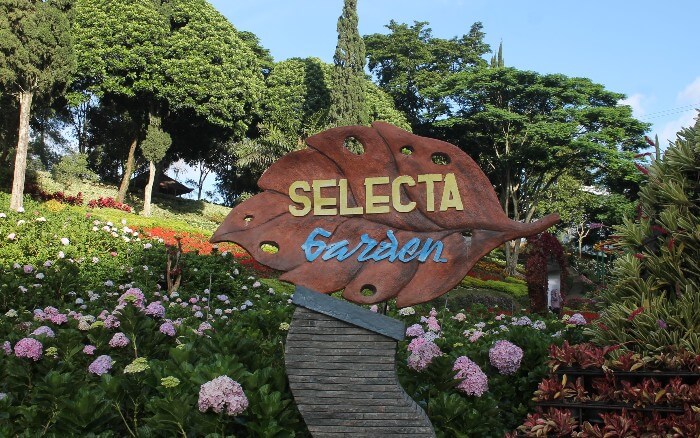 Selecta garden