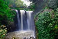 Taman hutan raya ir h djuanda