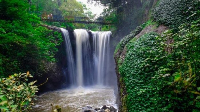 Taman hutan raya ir h djuanda