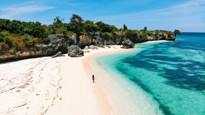 Tanjung bira