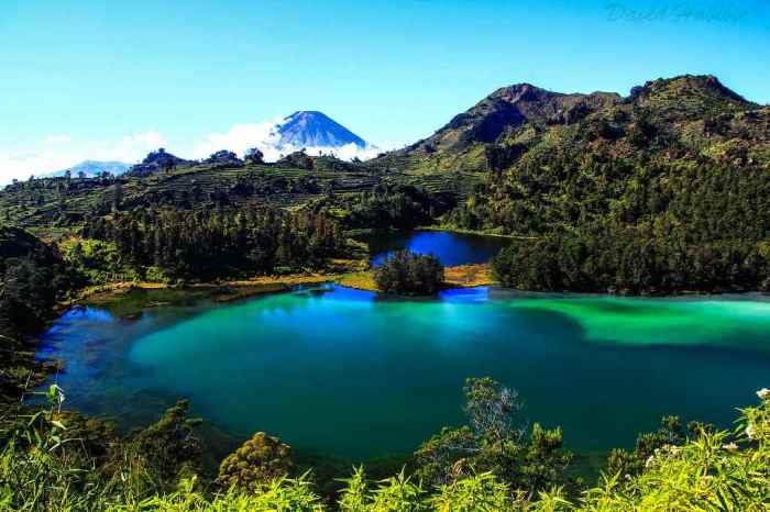 Telaga warna dieng tanaman bambu cendani kawasan dipercantik sigijateng wonosobo dataran tinggi