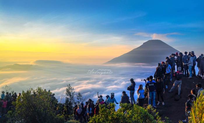 Dieng dimana