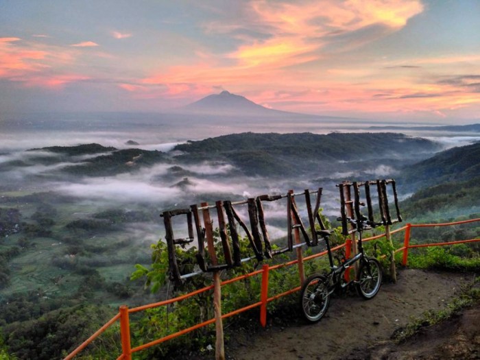 Puncak pinus becici